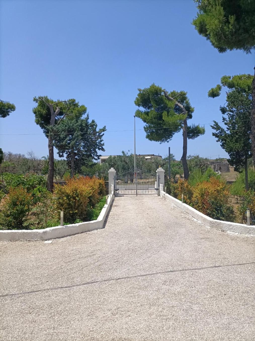 גלטונה B&B Villa Vittorio מראה חיצוני תמונה