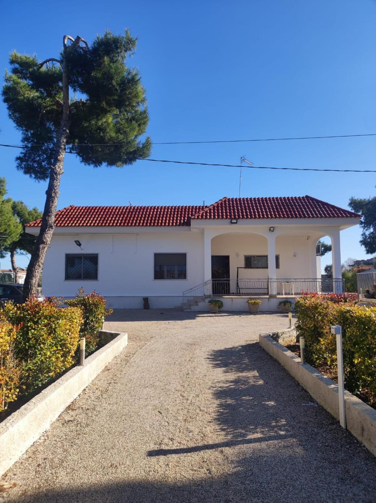 גלטונה B&B Villa Vittorio מראה חיצוני תמונה